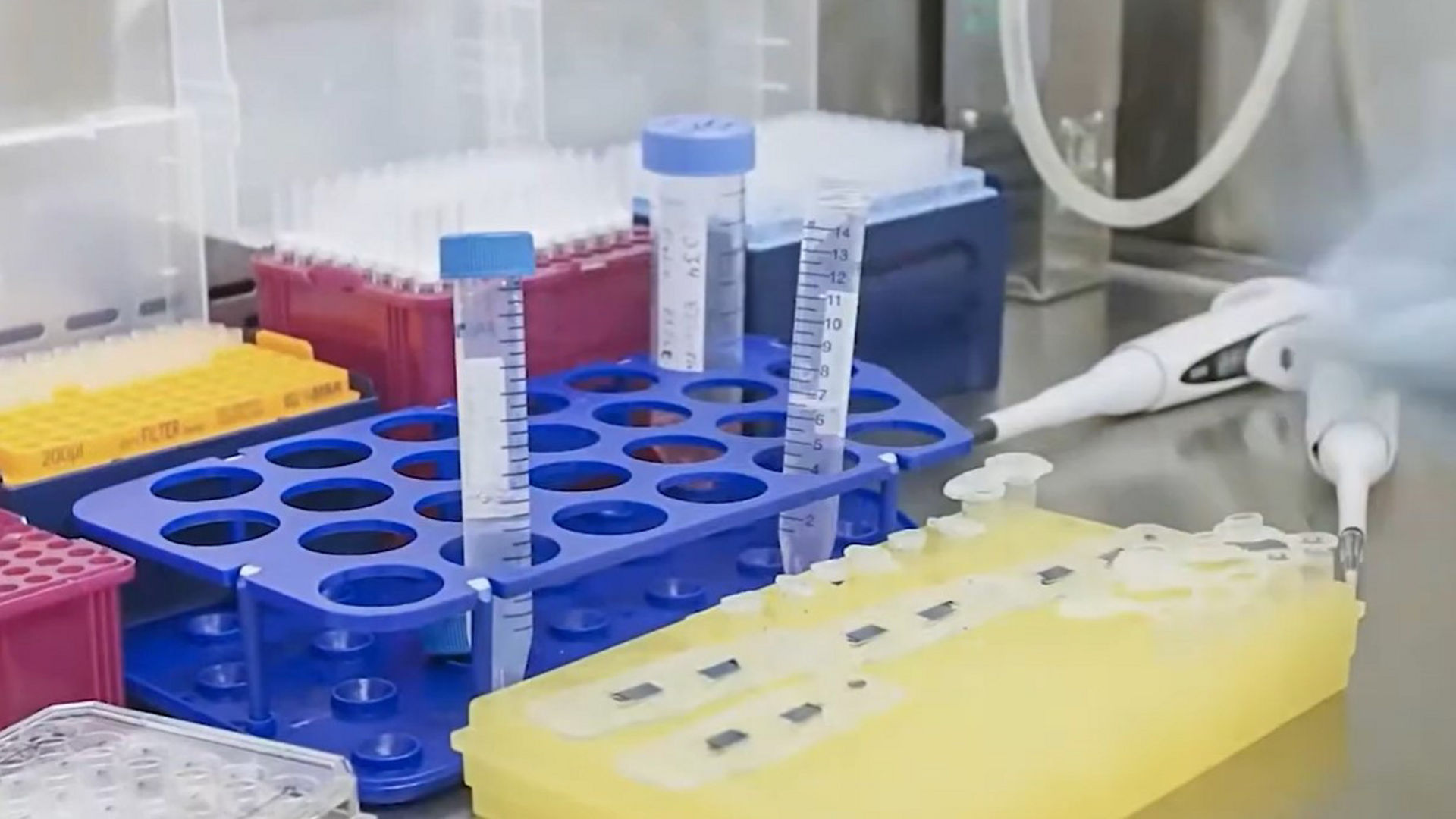 Doctor working in a lab