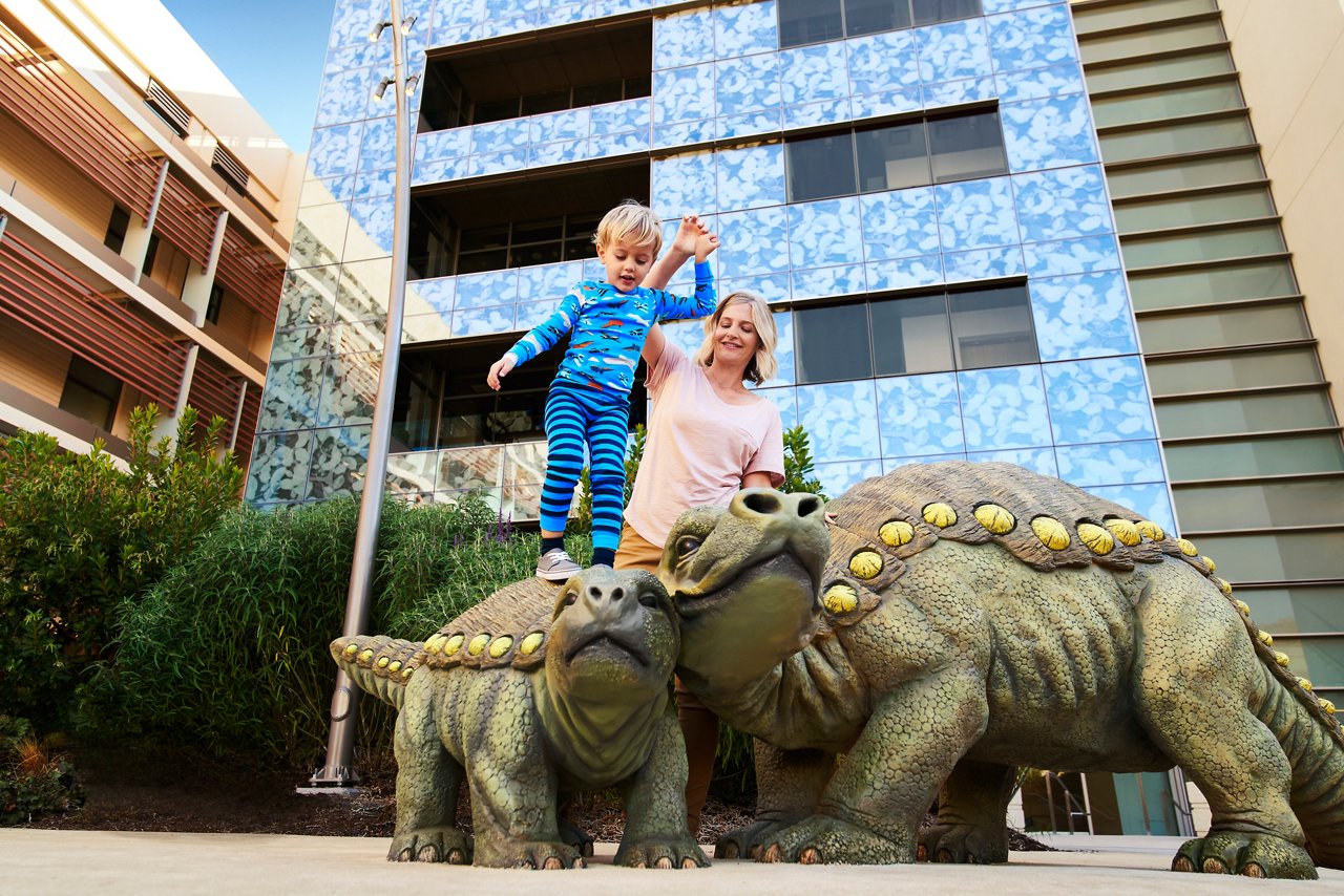 Dunlevie garden at Lucile Packard Children's Hospital Stanford in Palo Alto