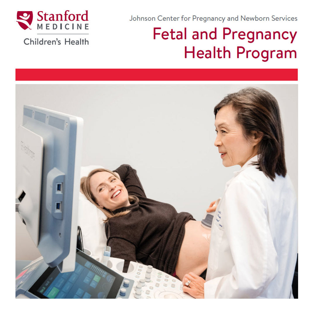 Download fetal and pregnancy health program PDF