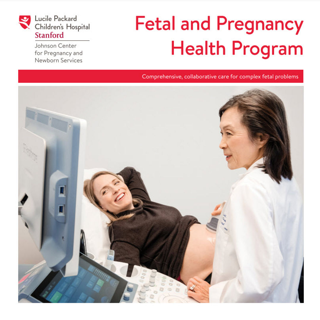 Download fetal and pregnancy health program PDF