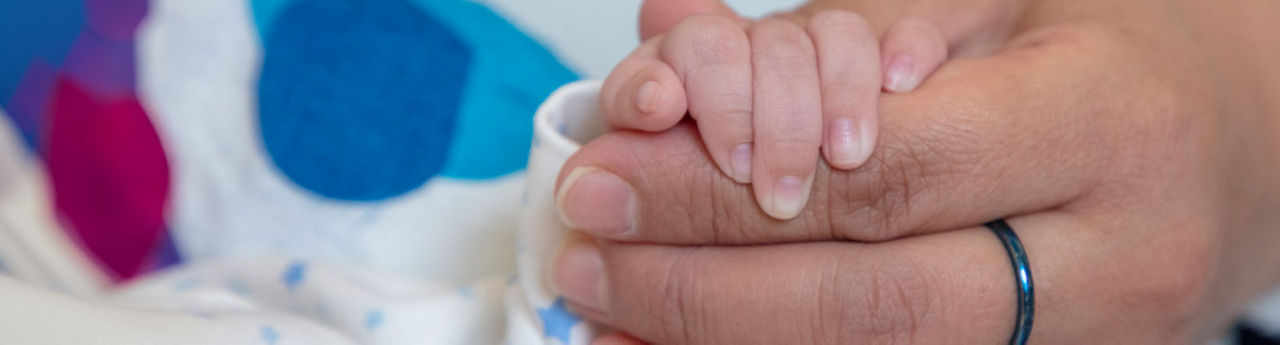 Parent holding baby's hand