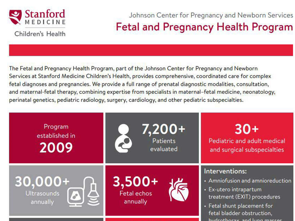 Fetal and Pregnancy Health Infographic