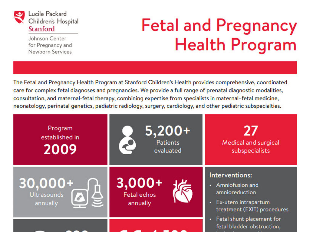 Fetal and Pregnancy Health Infographic