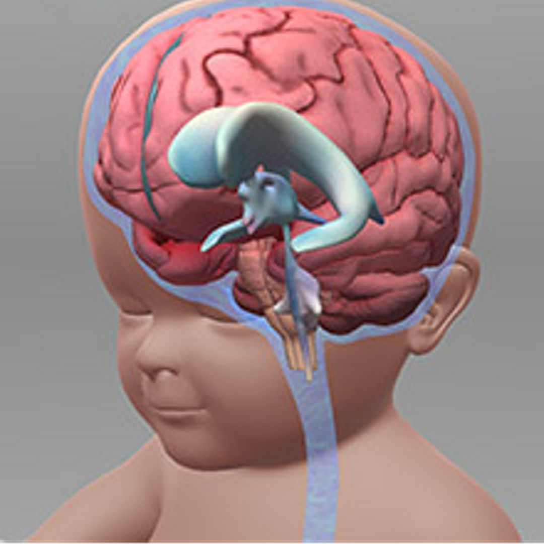 Child brain graphic