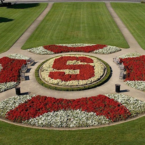 Stanford University Campus