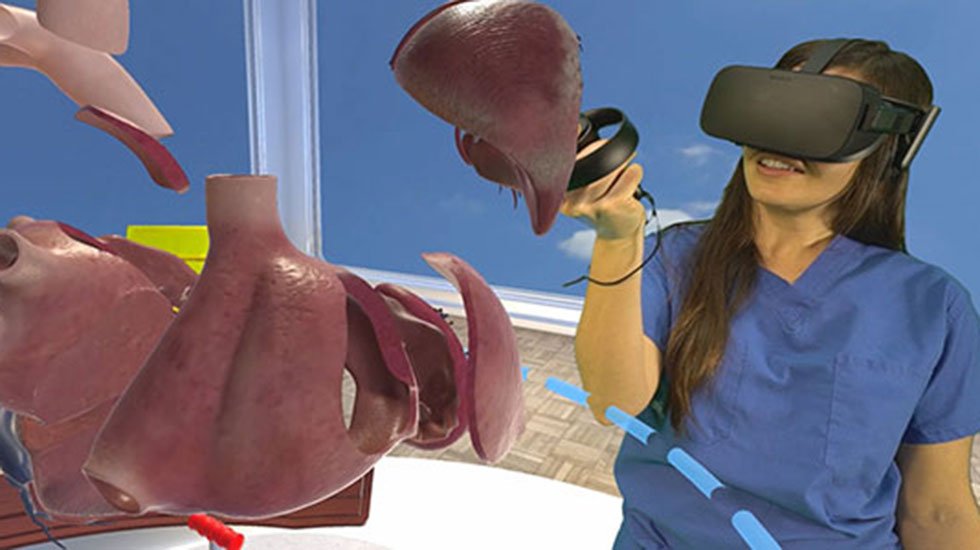 The Stanford Virtual Heart: Educating patients and medical trainees about 20+ congenital heart defects with a virtual reality tour of the heart